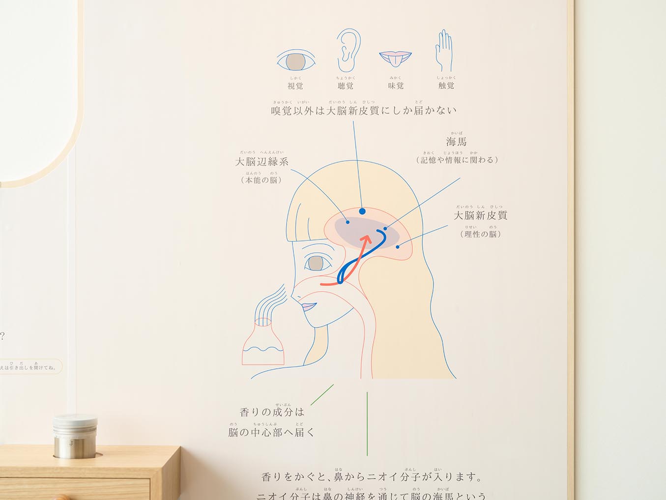 导视系统设计 自然科学博物馆森之工社（图ZMTQ3OTUzNTI=） - 资讯 - 站酷设计师导视标视学院APP原创素材 - 站酷ZCOOL