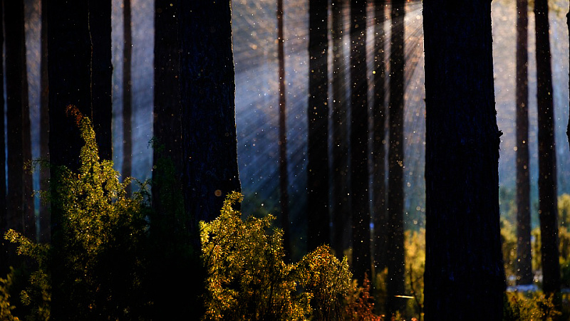 如何打造大片中的间隙光