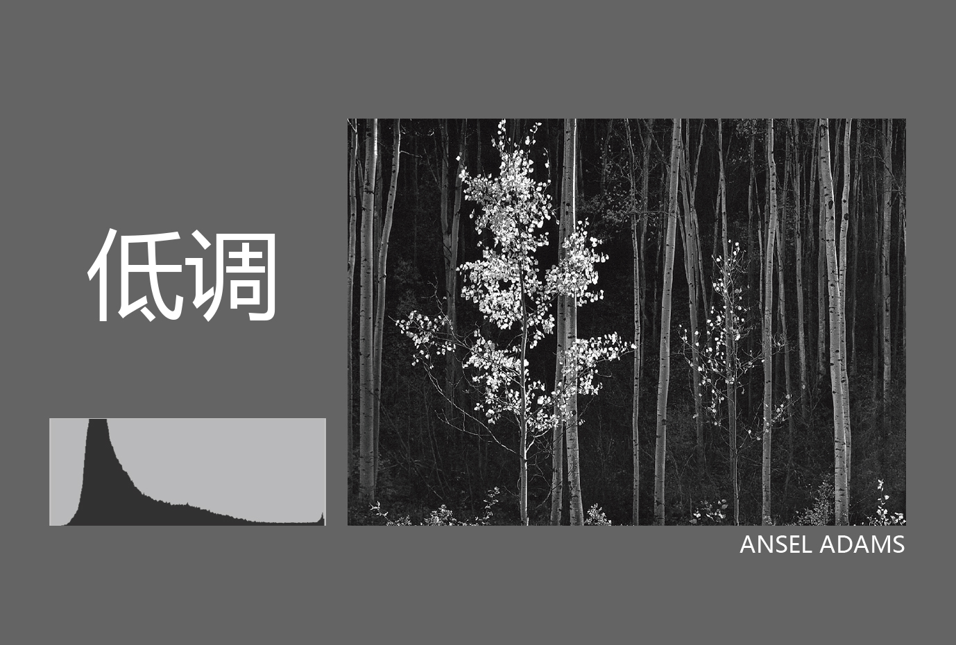 c19a58308e2ca8012060c8966af8.jpg