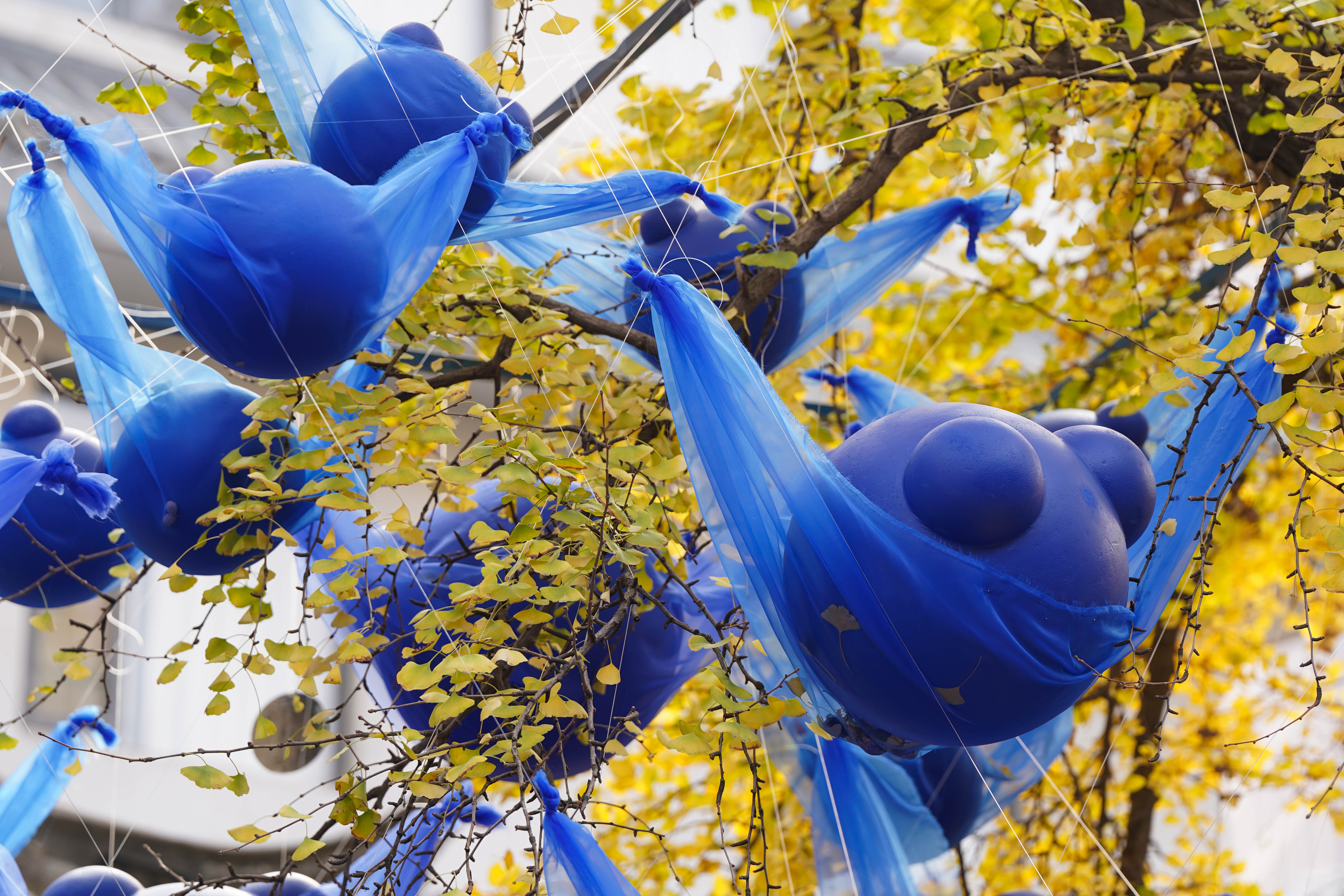 正式开幕 | 「万物成巳」夏科个人艺术展暨30周年文创展