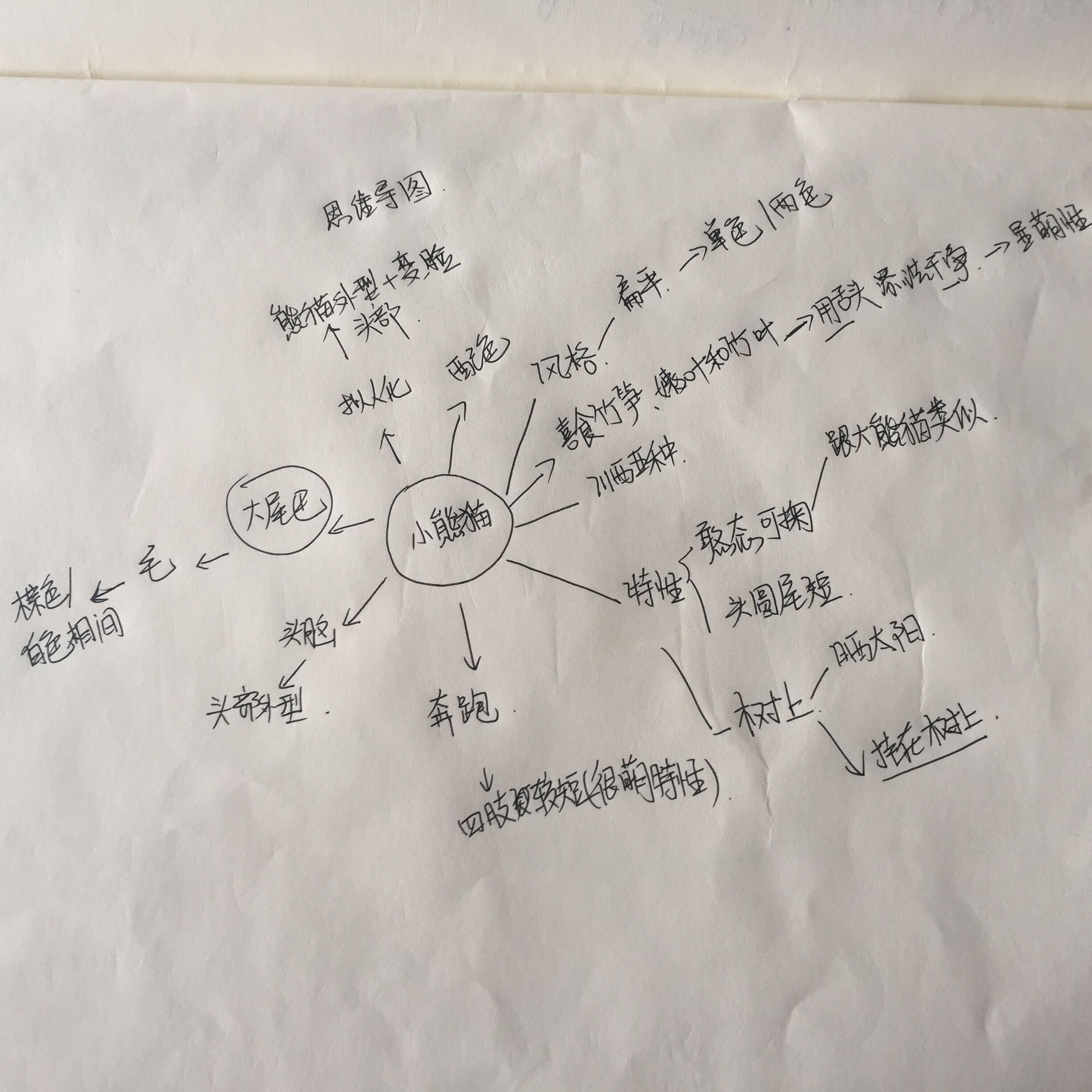 21ff58ec7849a8012049ef3c00fc.jpg