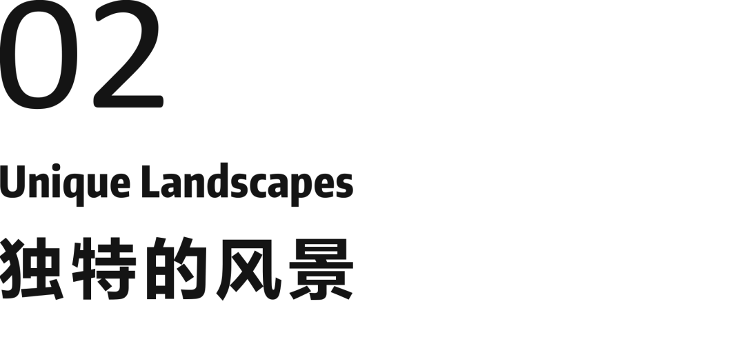 《色彩之旅2425》全球色彩流行趋势发布，3大趋势故事+12个流行色