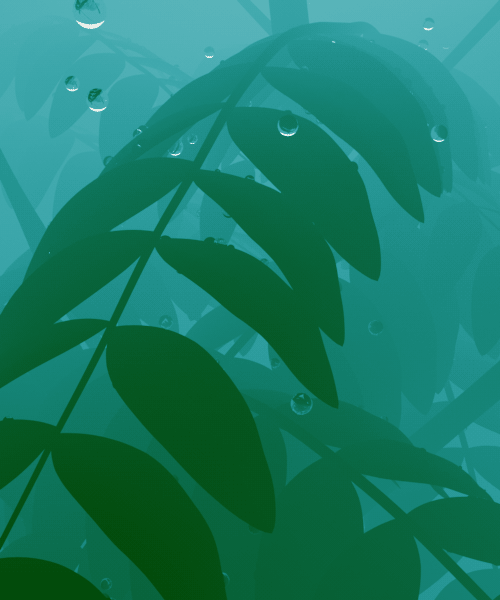 undefined 16b657cc16130000012e7e2f0fd9.jpg