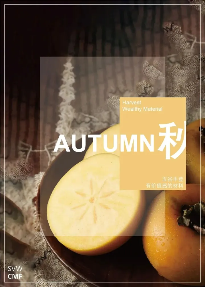 专题报告 | 2024汽车CMF流行趋势:含色彩、材料分析