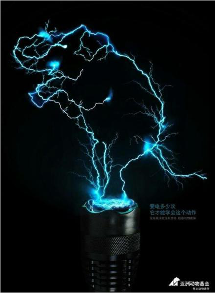 把自己p成闪电!