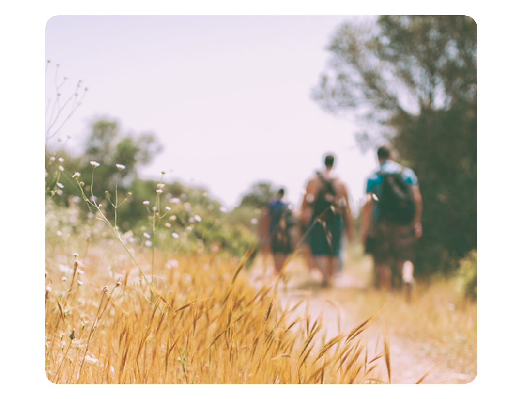 PANTONE 2024 年度代表色正式发布：PANTONE 13-1023 柔和桃 Peach Fuzz（图ZMTQ2MjE5MjA=） - 资讯 - 站酷设计师Pantone彩通原创素材 - 站酷ZCOOL