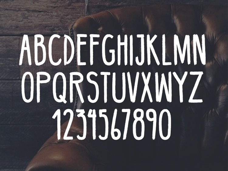 undefined e43b56a19b926ac7256cb014d875.jpg