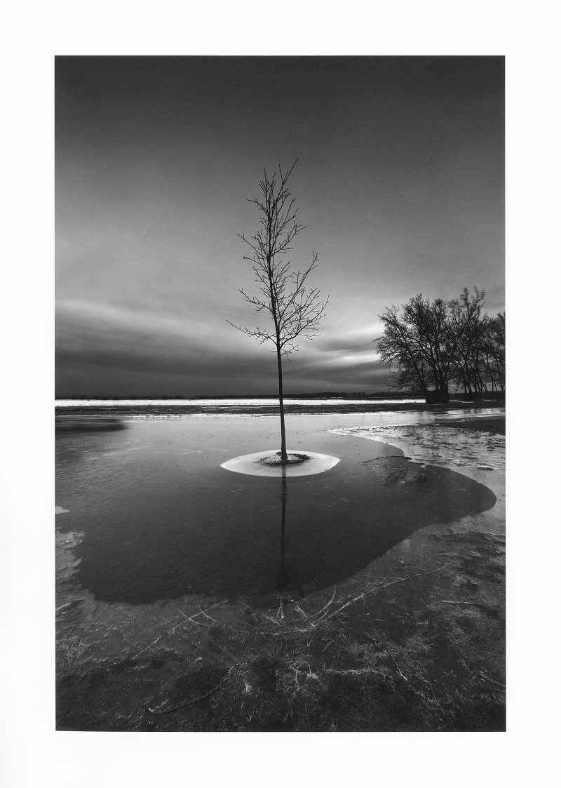 段岳衡和他的黑白视界