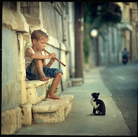 平面设计的就业方向