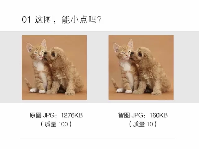 ec345937a001a8012193a3eb296f.jpg