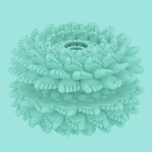 undefined f62f57cc14fd0000012e7e02885e.jpg