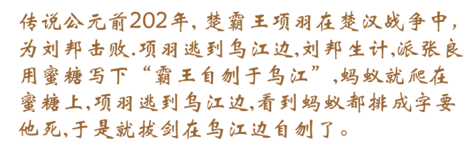 680558b944a9a801219c772d2e7f.jpg