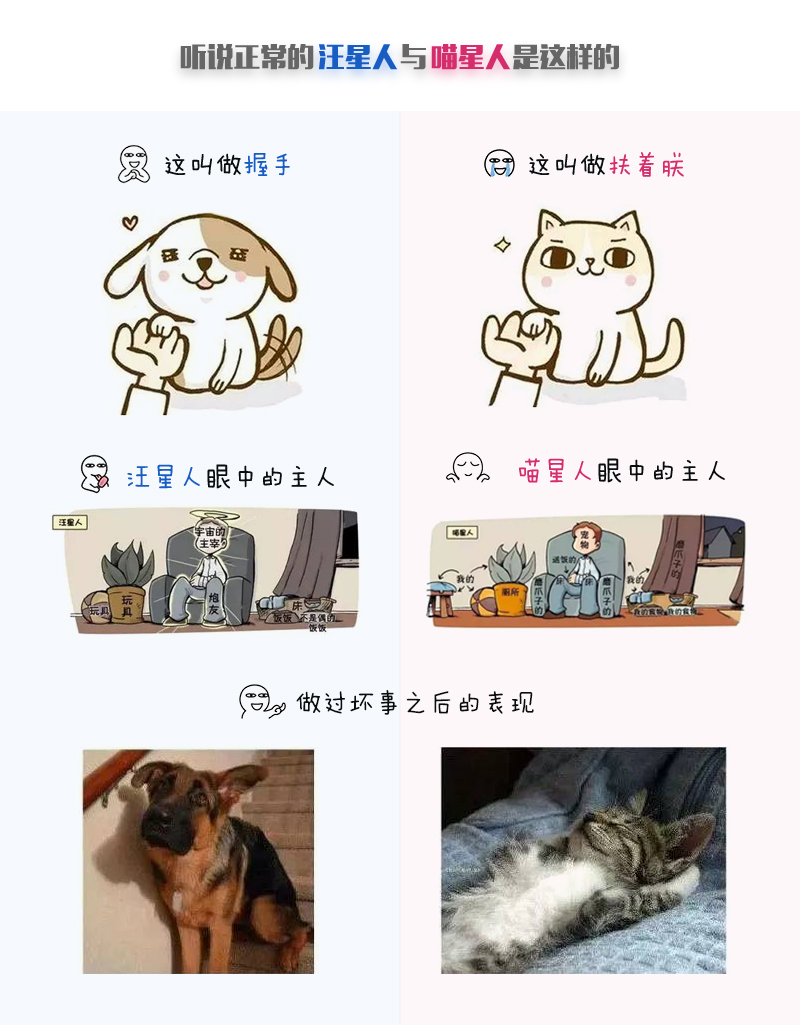 d9c2587ecc98a8012060c8691800.jpg