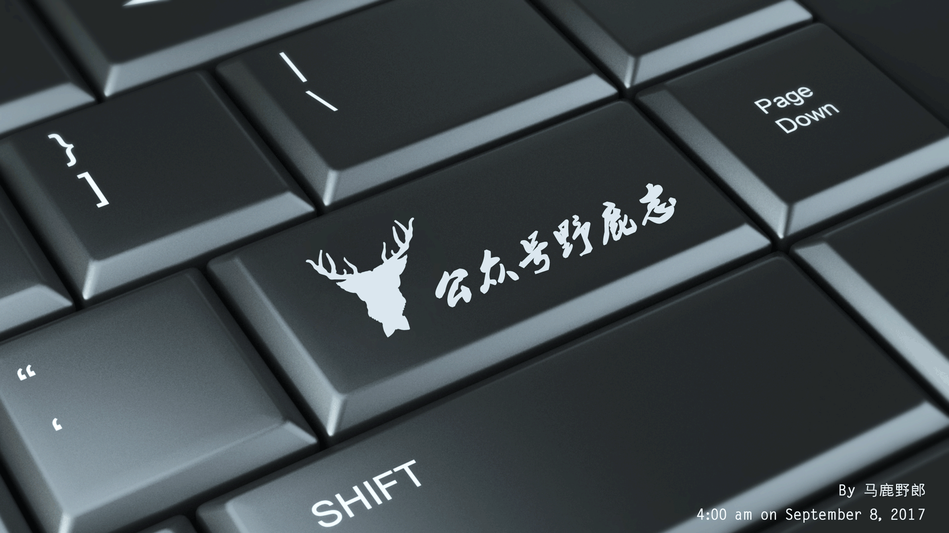 0cd459b2a303a8012028a9902dc2.jpg