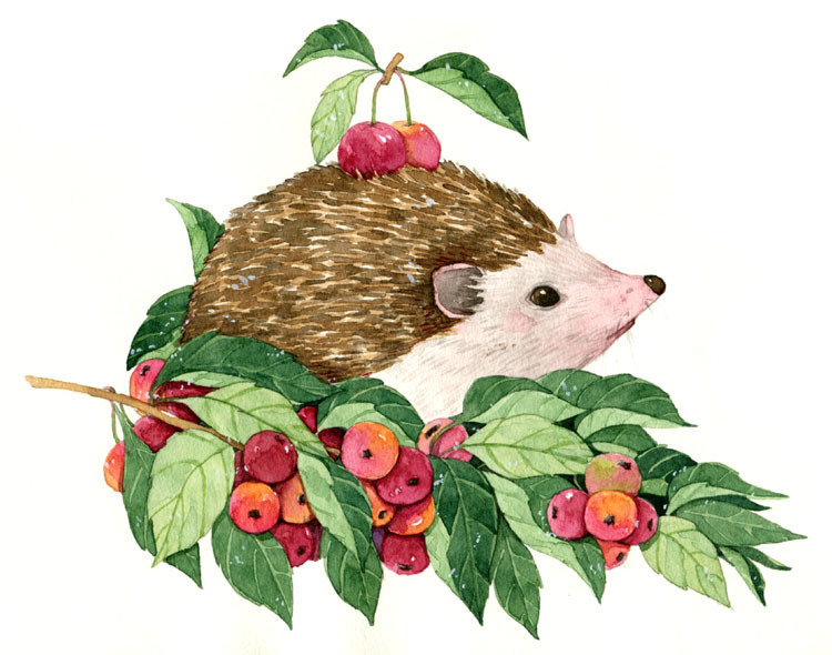 0291a9556d6a770000016b62d9a423.jpg@800w_1l