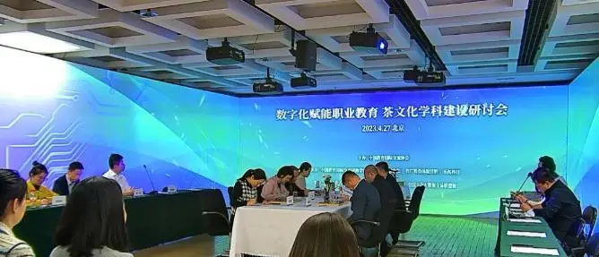 2023年南京投石活动与展会回顾：创新与突破共舞