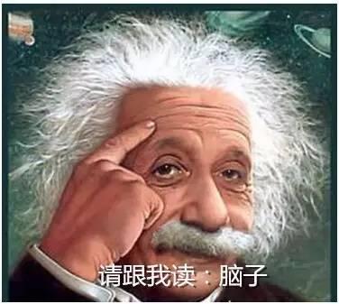 c8a157b146240000018c1be61e7f.jpg