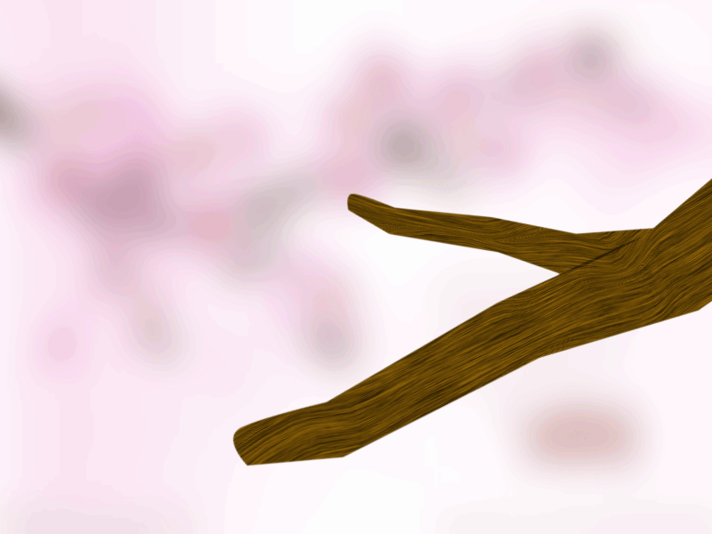 800_600gif 动态图 动图