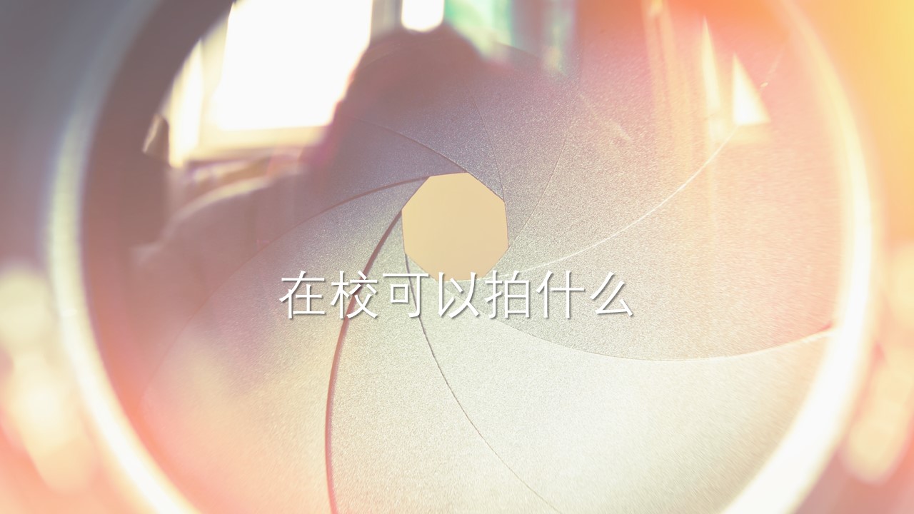 c53d583bc39ca801219c77ec19a1.jpg