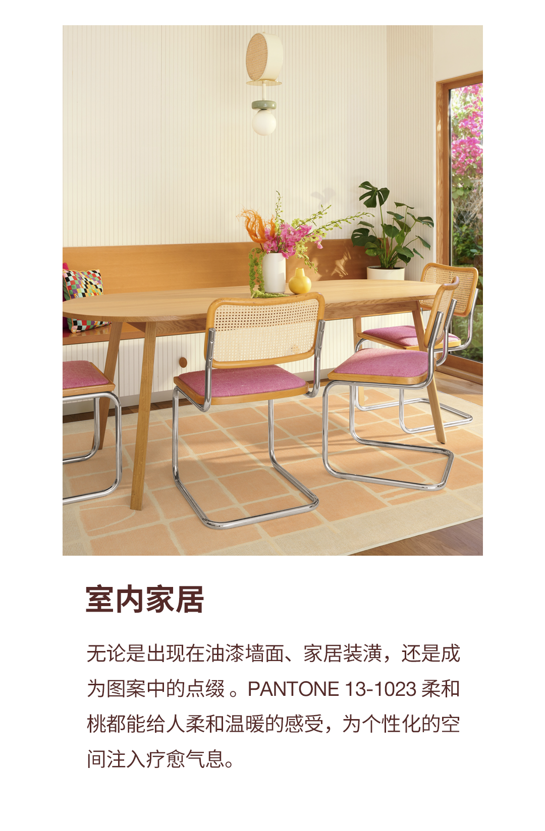 PANTONE 2024 年度代表色正式发布：PANTONE 13-1023 柔和桃 Peach Fuzz（图ZMTQ2MjE4ODg=） - 资讯 - 站酷设计师Pantone彩通原创素材 - 站酷ZCOOL