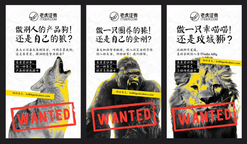 老虎设计 从零开始|平面-UI-网页|观点|tigerbrok