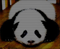 0f215915ac38a801216a3ed7c6d6.jpg