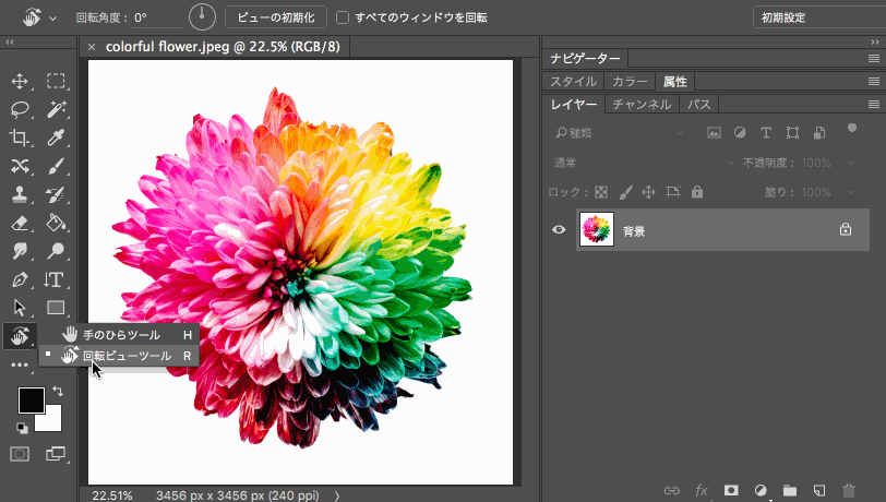 2b6457f990c2a84a0d304fbac6b5.jpg