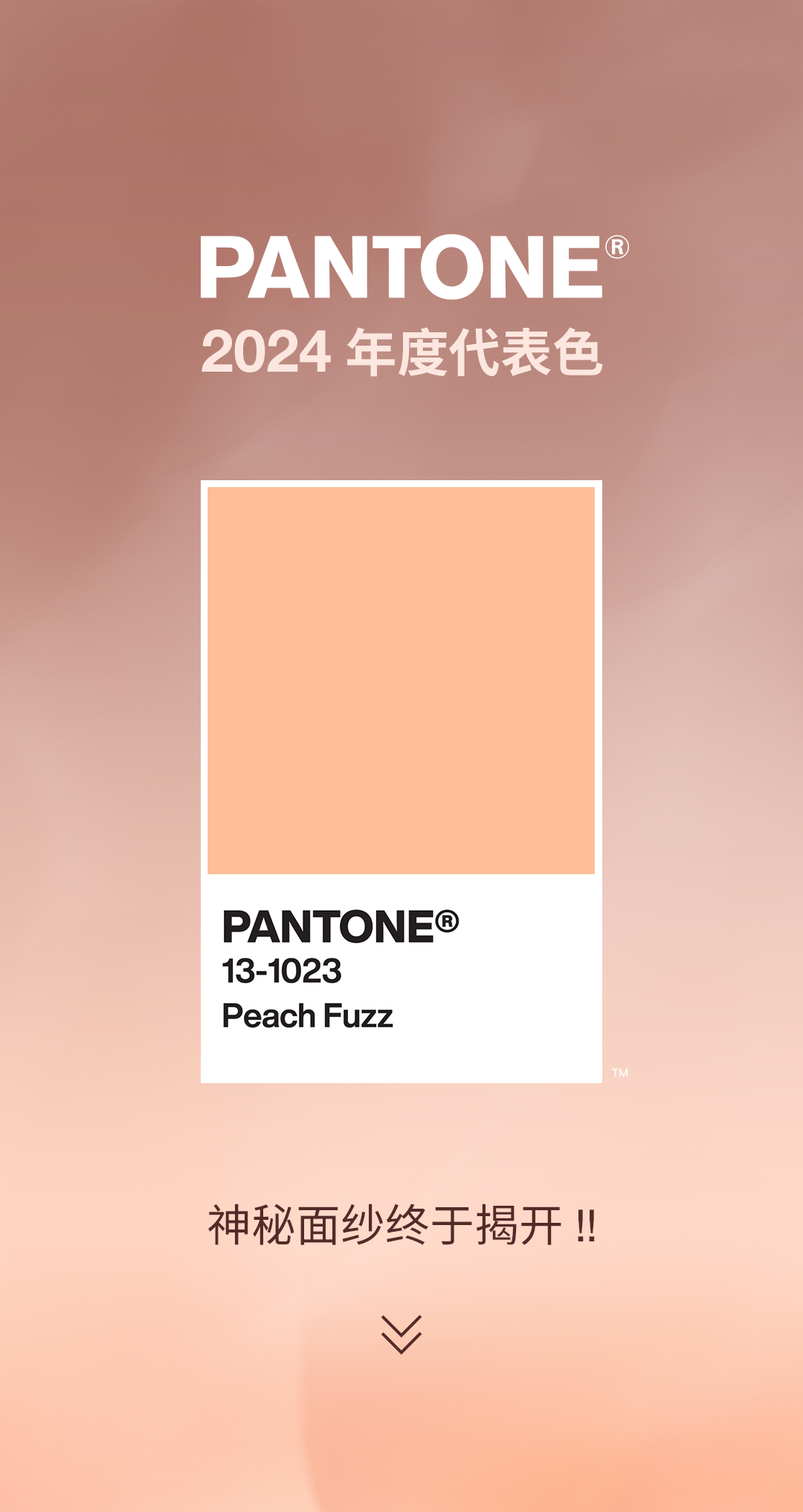 PANTONE 2024 年度代表色正式发布：PANTONE 13-1023 柔和桃 Peach Fuzz（图ZMTQ2MjE4NzI=） - 资讯 - 站酷设计师Pantone彩通原创素材 - 站酷ZCOOL