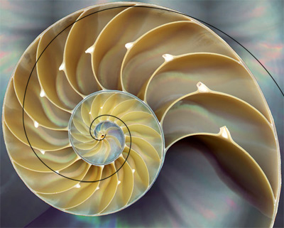 ba85578e60500000012e7e774684.jpg