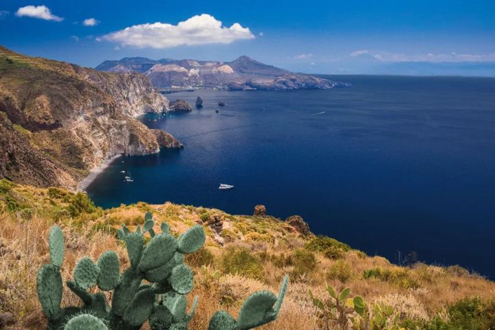 《色彩之旅2425》全球色彩流行趋势发布，3大趋势故事+12个流行色