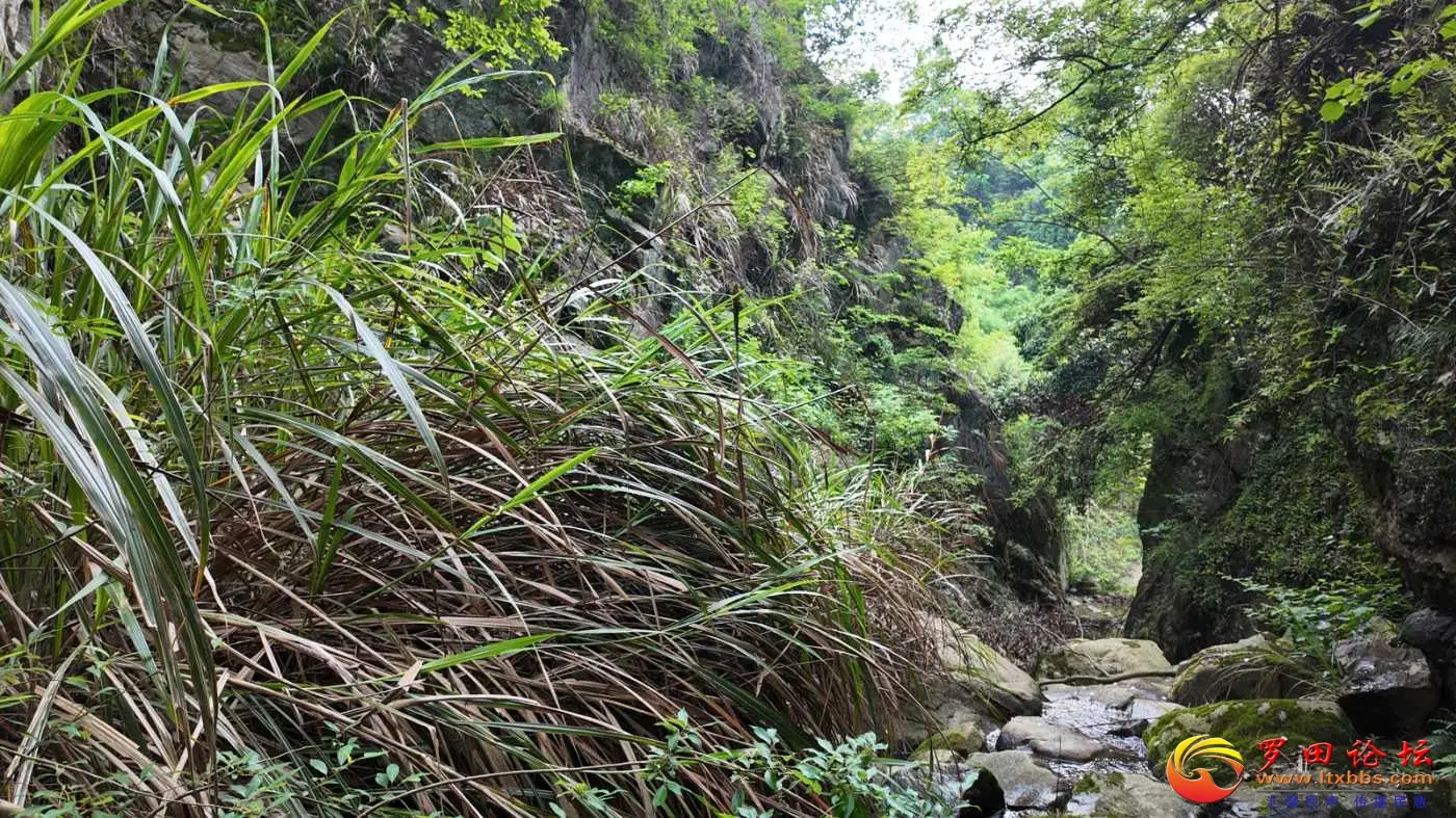 罗田向导蔡世峰，龙潭沟大峡谷欢迎你