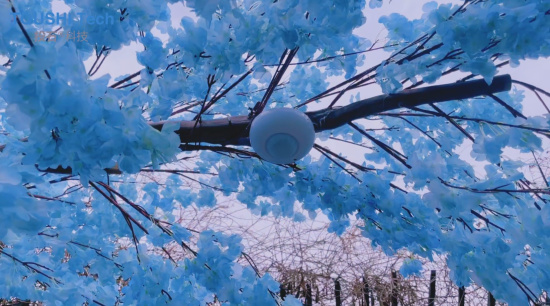 走进武汉花博汇景区，与梦幻勿忘我花海浪漫共舞！（图ZMTQ2NjY3NDg=） - 资讯 - 站酷设计师投石艺术装置原创素材 - 站酷ZCOOL