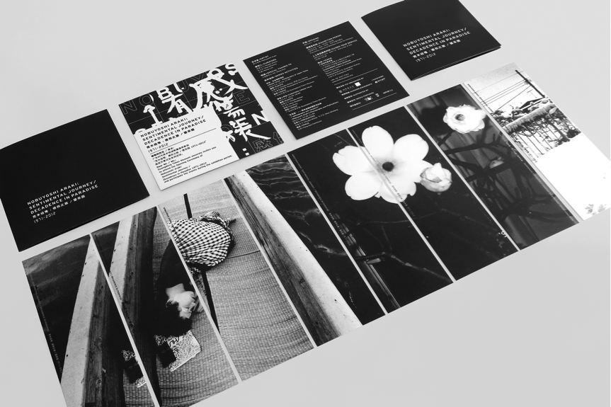 c93059a53eb1a8012028a9ba9d40.jpg