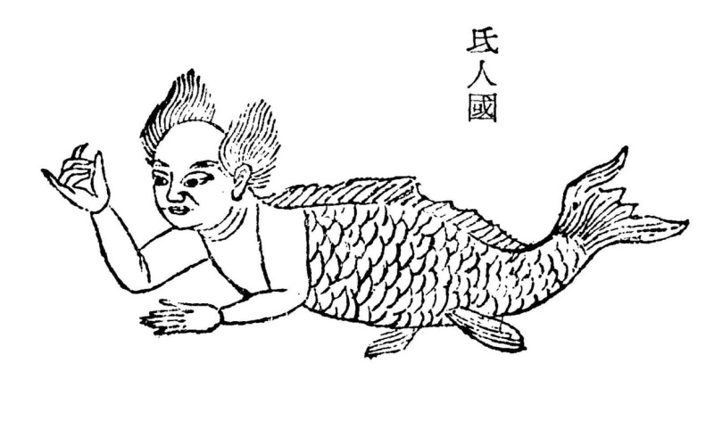 美人鱼背后的故事 设计文章 站酷 Zcool