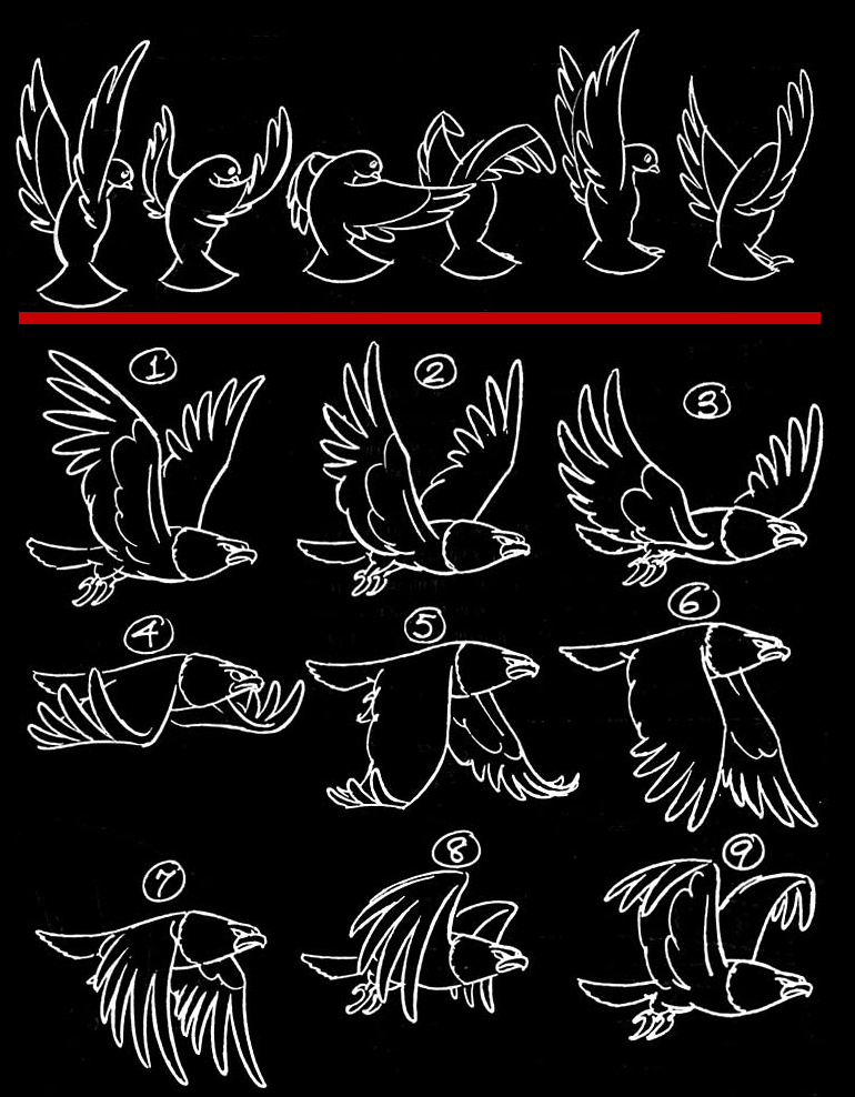 二维动画动物行走跑步姿势大全