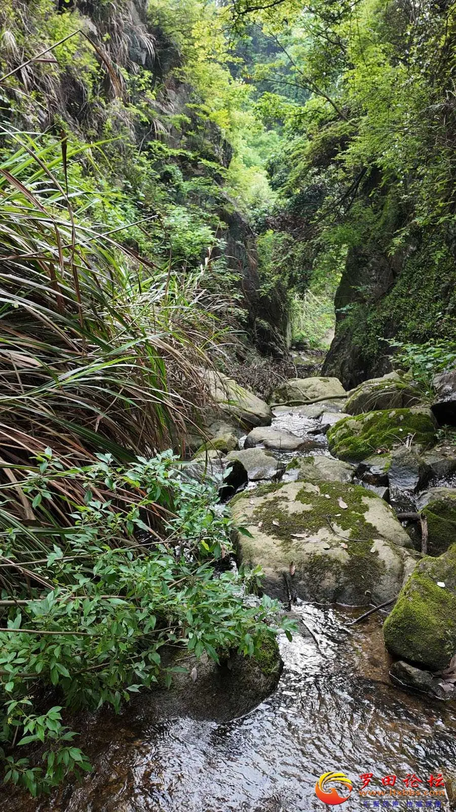 罗田向导蔡世峰，龙潭沟大峡谷欢迎你