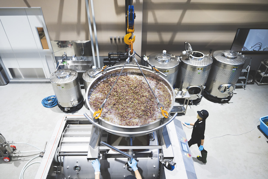 导视系统设计 7c酒庄_导视标视学院APP-站酷ZCOOL