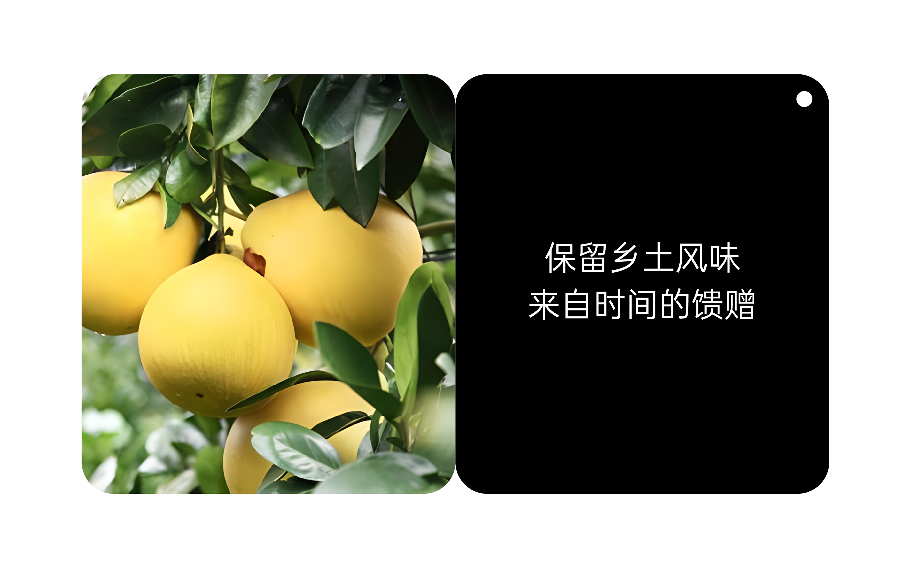 地方设计观察 | 01梅原真(图ZMTQ2ODE1ODQ=) - 观点 - 站酷设计师Carothu原创素材 - 站酷ZCOOL