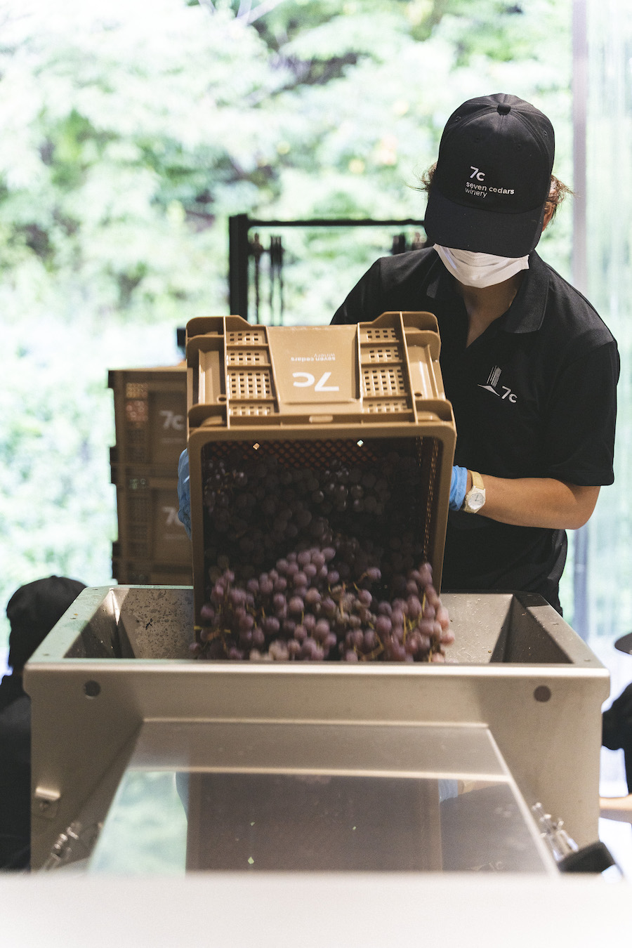 导视系统设计 7c酒庄_导视标视学院APP-站酷ZCOOL