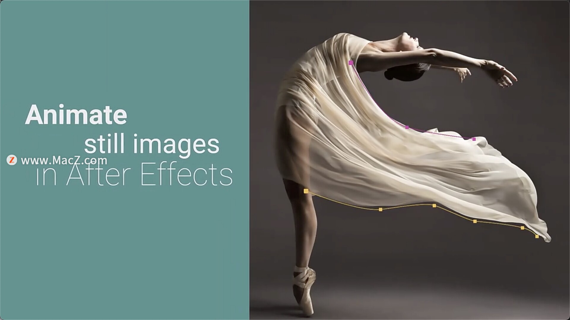 ae插件-静态图片局部流动循环动画特效 loopflow