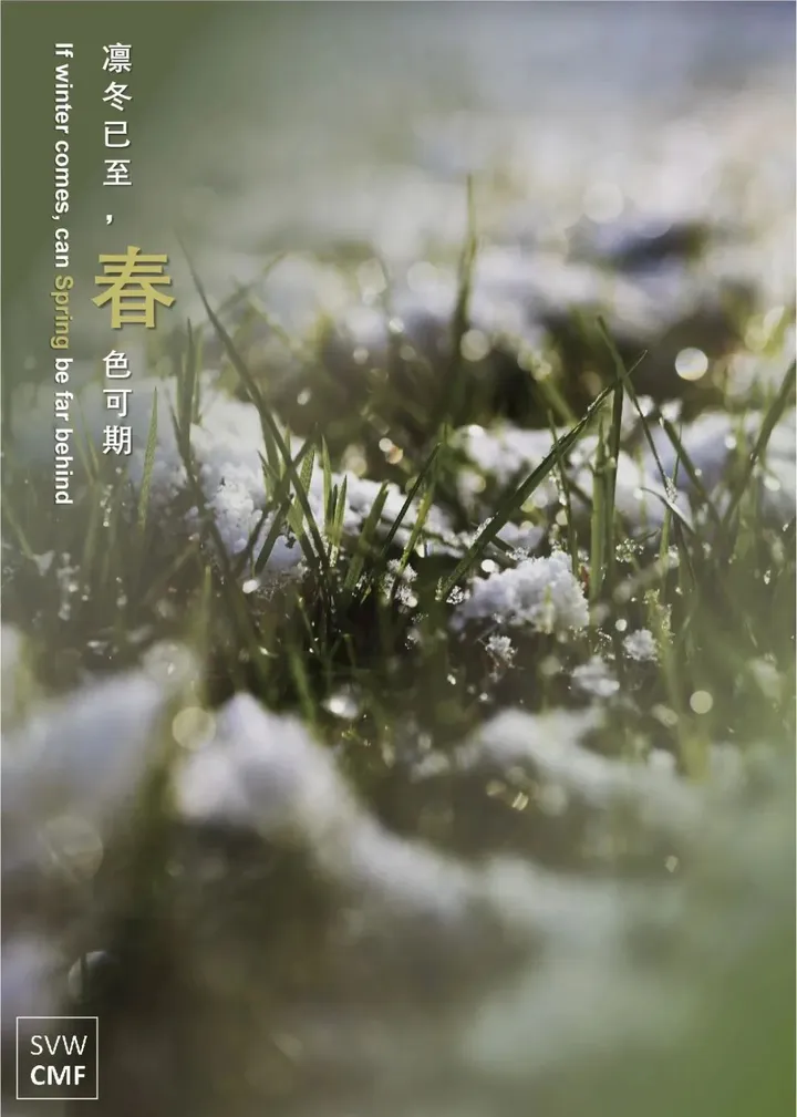 专题报告 | 2024汽车CMF流行趋势:含色彩、材料分析