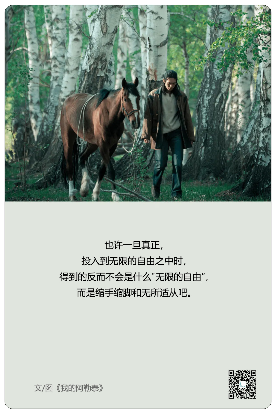《我的阿勒泰》：我们终究只能被自己治愈（图ZMTQ3NzQxMTI=） - 观点 - 站酷设计师青云视界原创素材 - 站酷ZCOOL