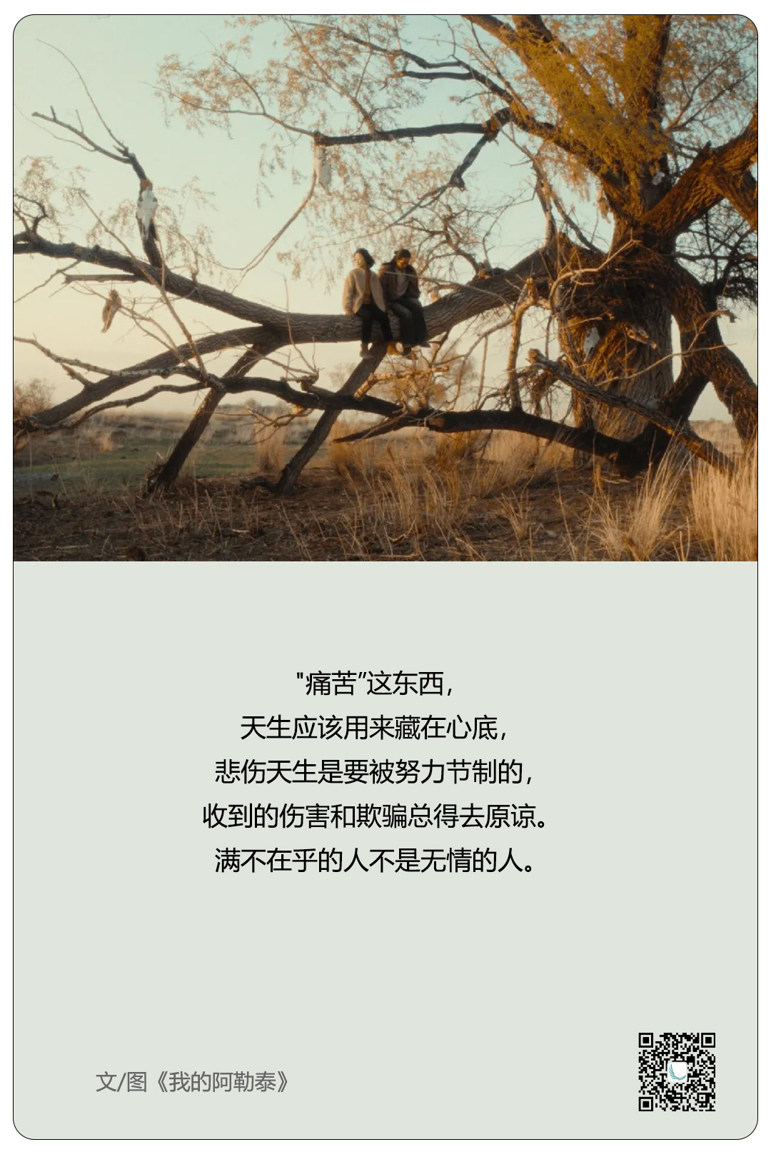 《我的阿勒泰》：我们终究只能被自己治愈（图ZMTQ3NzQxMjQ=） - 观点 - 站酷设计师青云视界原创素材 - 站酷ZCOOL