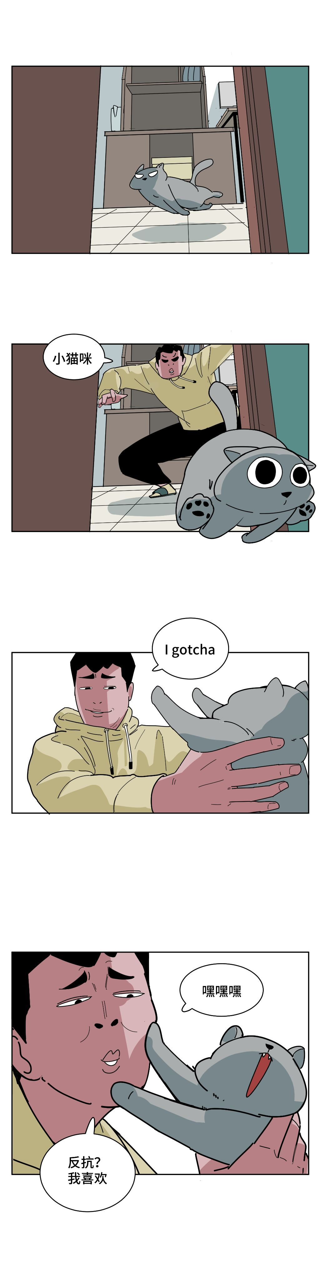 【站酷榜单·Top作品零距离】第340期