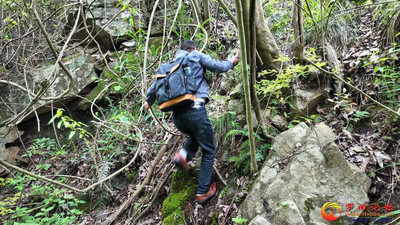 罗田向导蔡世峰，龙潭沟大峡谷欢迎你