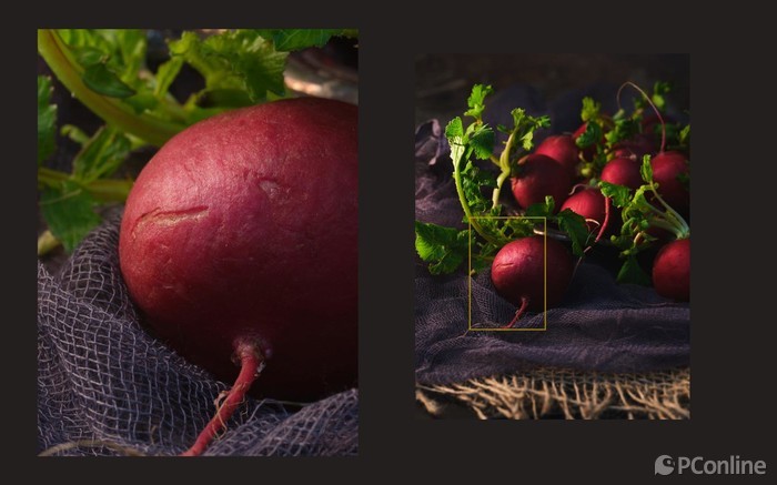 当艺术走近餐桌，富士中画幅移轴油画感美食静物体验（图ZMTQ3MzkzMzI=） - 教程 - 站酷设计师七七小菇凉原创素材 - 站酷ZCOOL