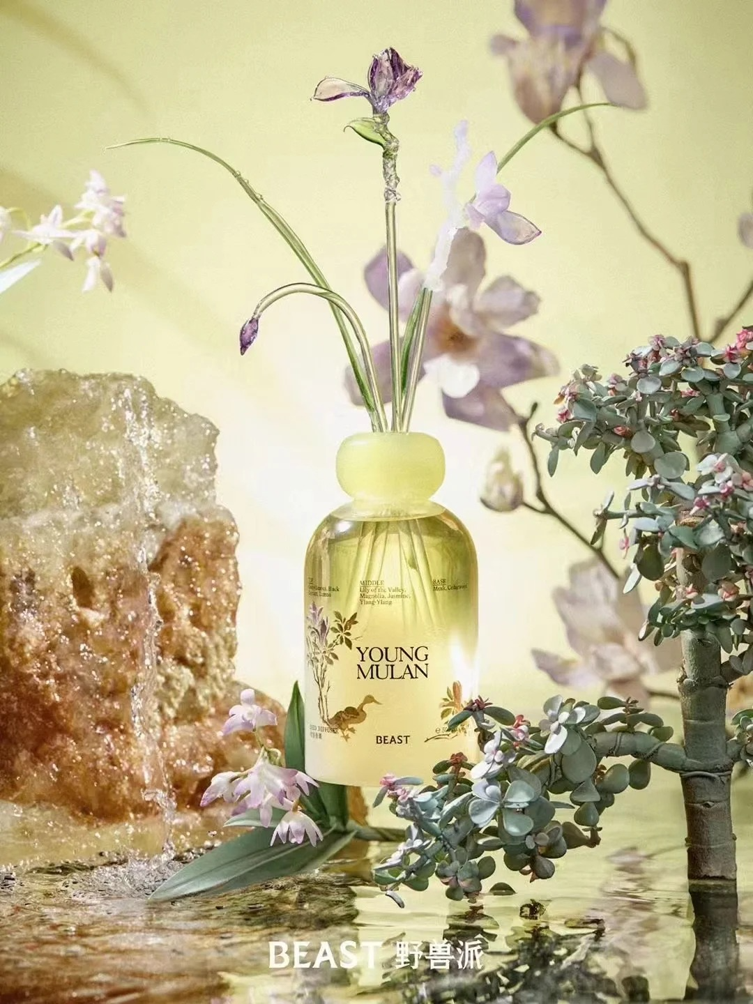 ▲辛夷花元素  图源：@野兽派    