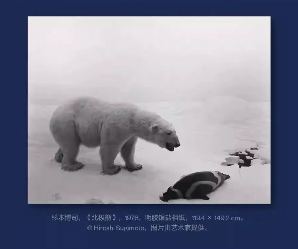 日本大阪世博会海报/娃哈哈包装被爆改/2024纽约节/古驰安可拉红（图ZMTQ3MTg0MjQ=） - 资讯 - 站酷设计师站酷资讯原创素材 - 站酷ZCOOL