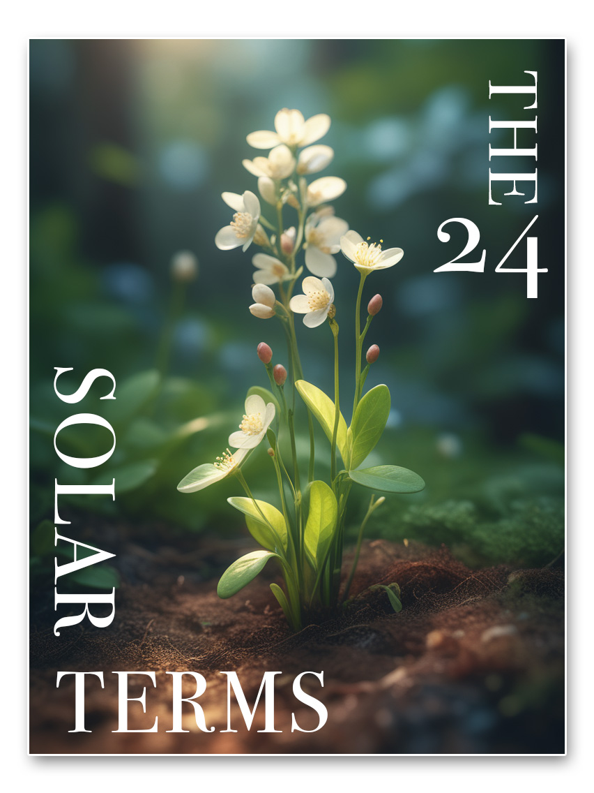 AI新手玩转文生图，融合嵌字与创意二维码（图ZMTQ2NzQxMjA=） - 教程 - 站酷设计师Mia_Fan原创素材 - 站酷ZCOOL