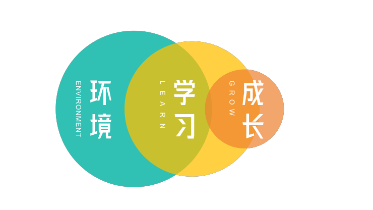 重庆巴文化电影公园升级 | 以世界花艺描绘巴国古韵